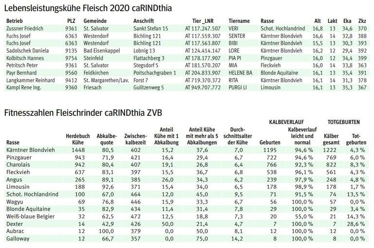 Fleischrinder.jpg © LK Kärnten/Kärntner Bauer Fleischrinder.jpg © LK Kärnten/Kärntner Bauer