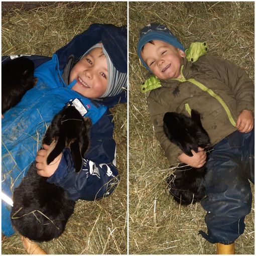 Mein Bild 2021.jpg © Salzburger Bauer/Moser Mein Bild 2021.jpg © Salzburger Bauer/Moser