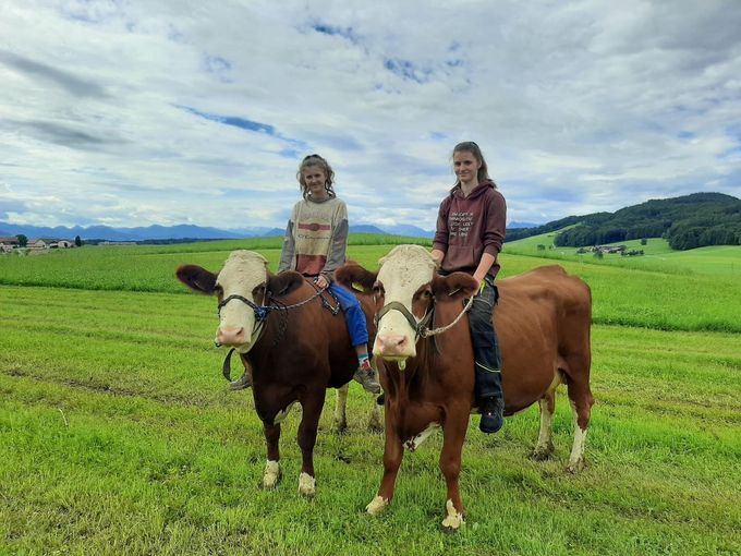 Mein Bild 2021.jpg © Salzburger Bauer/Genyk Mein Bild 2021.jpg © Salzburger Bauer/Genyk