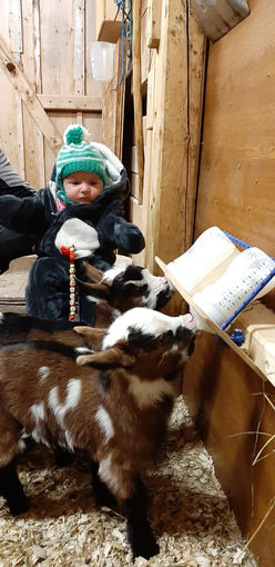 Mein Bild 2021.jpg © Salzburger Bauer/Harlander Mein Bild 2021.jpg © Salzburger Bauer/Harlander