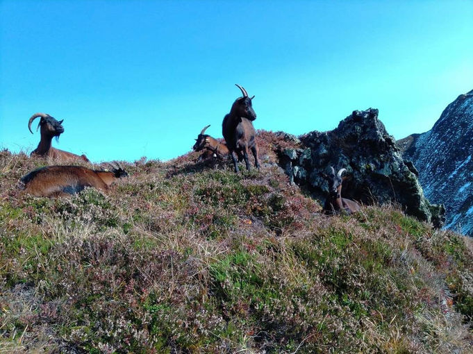 Mein Bild 2021.jpg © Salzburger Bauer/Stöckl Mein Bild 2021.jpg © Salzburger Bauer/Stöckl