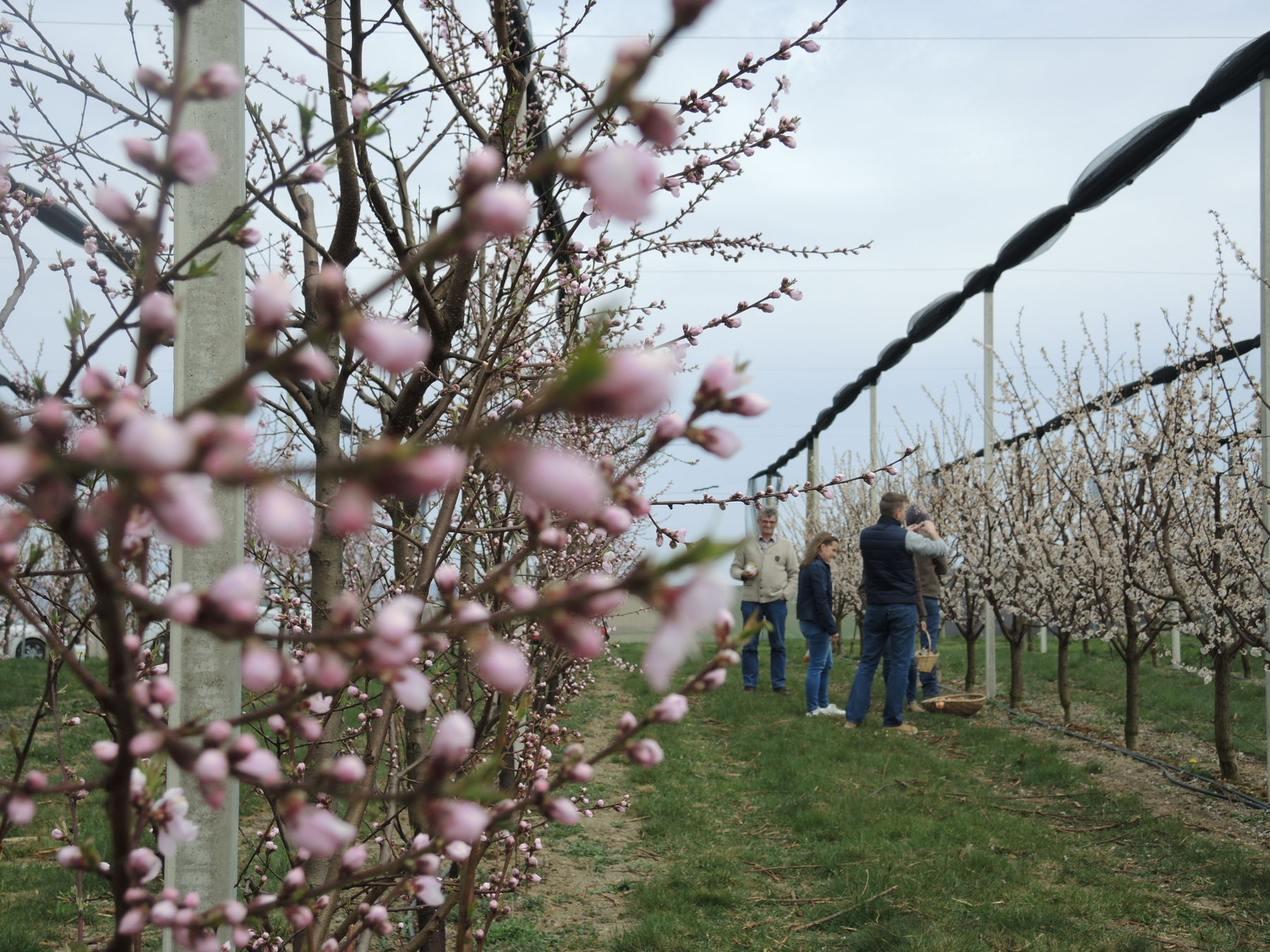 © Andrea Uhl LK NÖ © Andrea Uhl LK NÖ