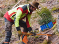 Forstarbeiter pflanzt Bäumchen © Landwirtschaftskammer Steiermark