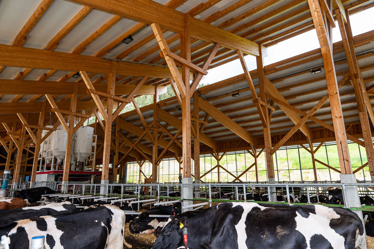 Luftiger Milchviehstall © Landwirtschaftskammer Steiermark / Arbeitskreis Milch Luftiger Milchviehstall © Landwirtschaftskammer Steiermark / Arbeitskreis Milch