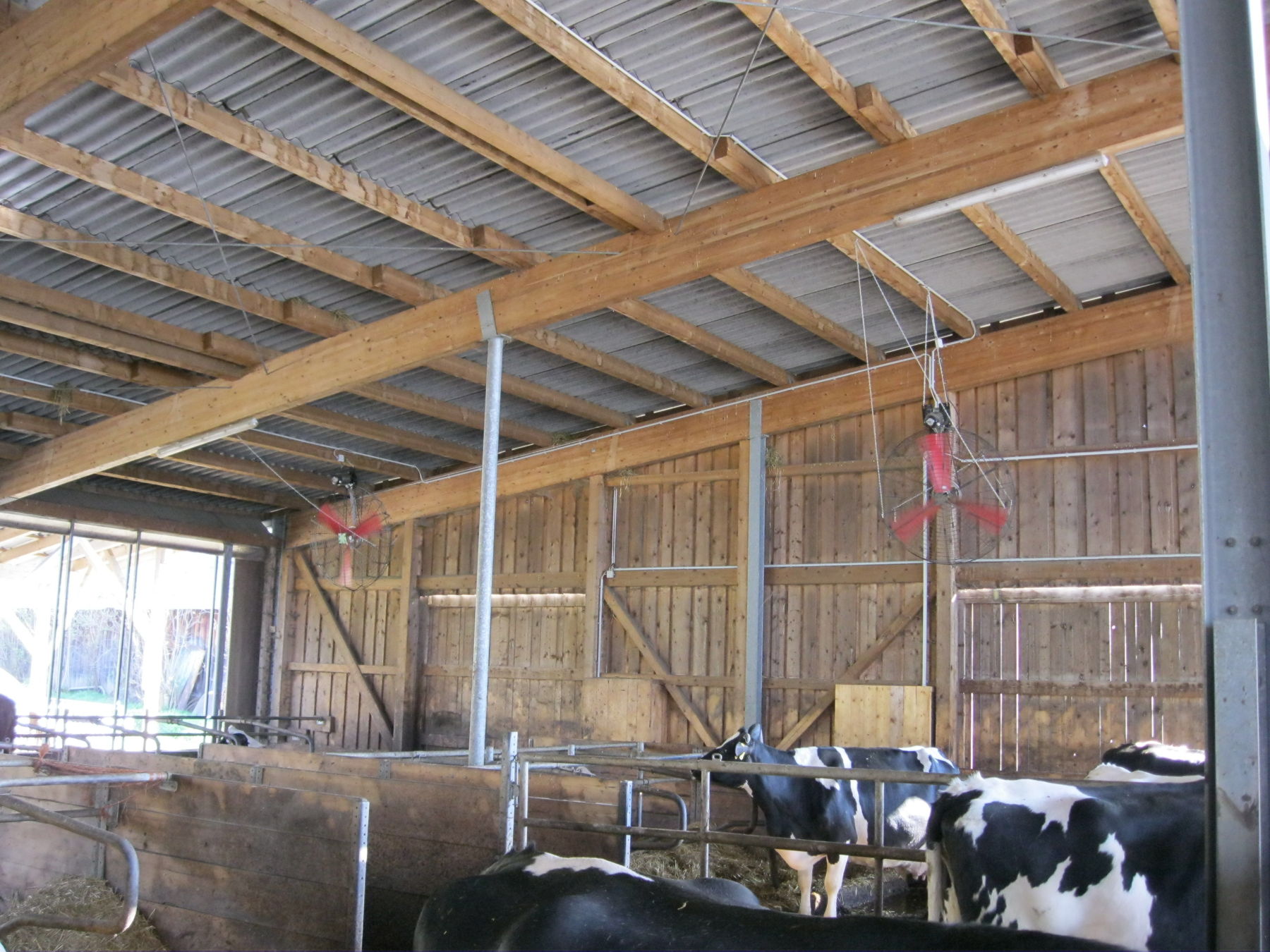 Ventilatoren im Milchviehstall © Landwirtschaftskammer Steiermark / Arbeitskreis Milch Ventilatoren im Milchviehstall © Landwirtschaftskammer Steiermark / Arbeitskreis Milch