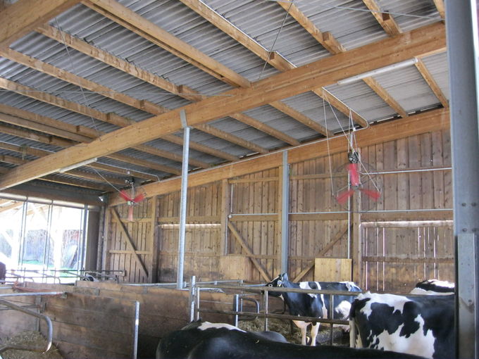 Ventilatoren im Milchviehstall © Landwirtschaftskammer Steiermark / Arbeitskreis Milch Ventilatoren im Milchviehstall © Landwirtschaftskammer Steiermark / Arbeitskreis Milch