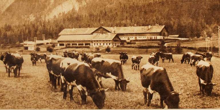 Sb15_pinz_brandlhof.jpg © Repro Sb15_pinz_brandlhof.jpg © Repro