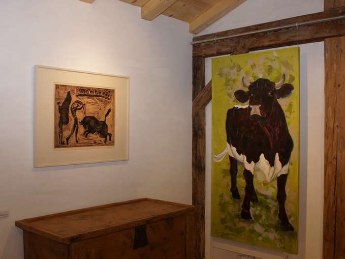 sb15_rind_pablo.jpg © Archiv sb15_rind_pablo.jpg © Archiv