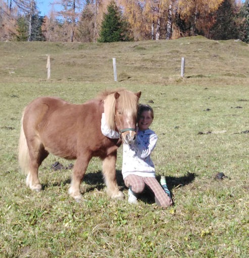 Mein Bild 2021.jpg © Salzburger Bauer/Mitteregger Mein Bild 2021.jpg © Salzburger Bauer/Mitteregger