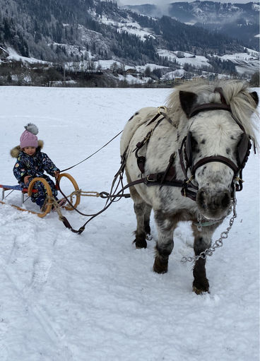 Mein Bild 2021.jpg © Salzburger Bauer/Meikl Mein Bild 2021.jpg © Salzburger Bauer/Meikl
