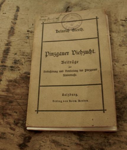 Pinzgauer Viehzucht vom Direktor des  Zuchtbetriebs Brandlhof.jpg © Gudrun Dürnberger Pinzgauer Viehzucht vom Direktor des  Zuchtbetriebs Brandlhof.jpg © Gudrun Dürnberger