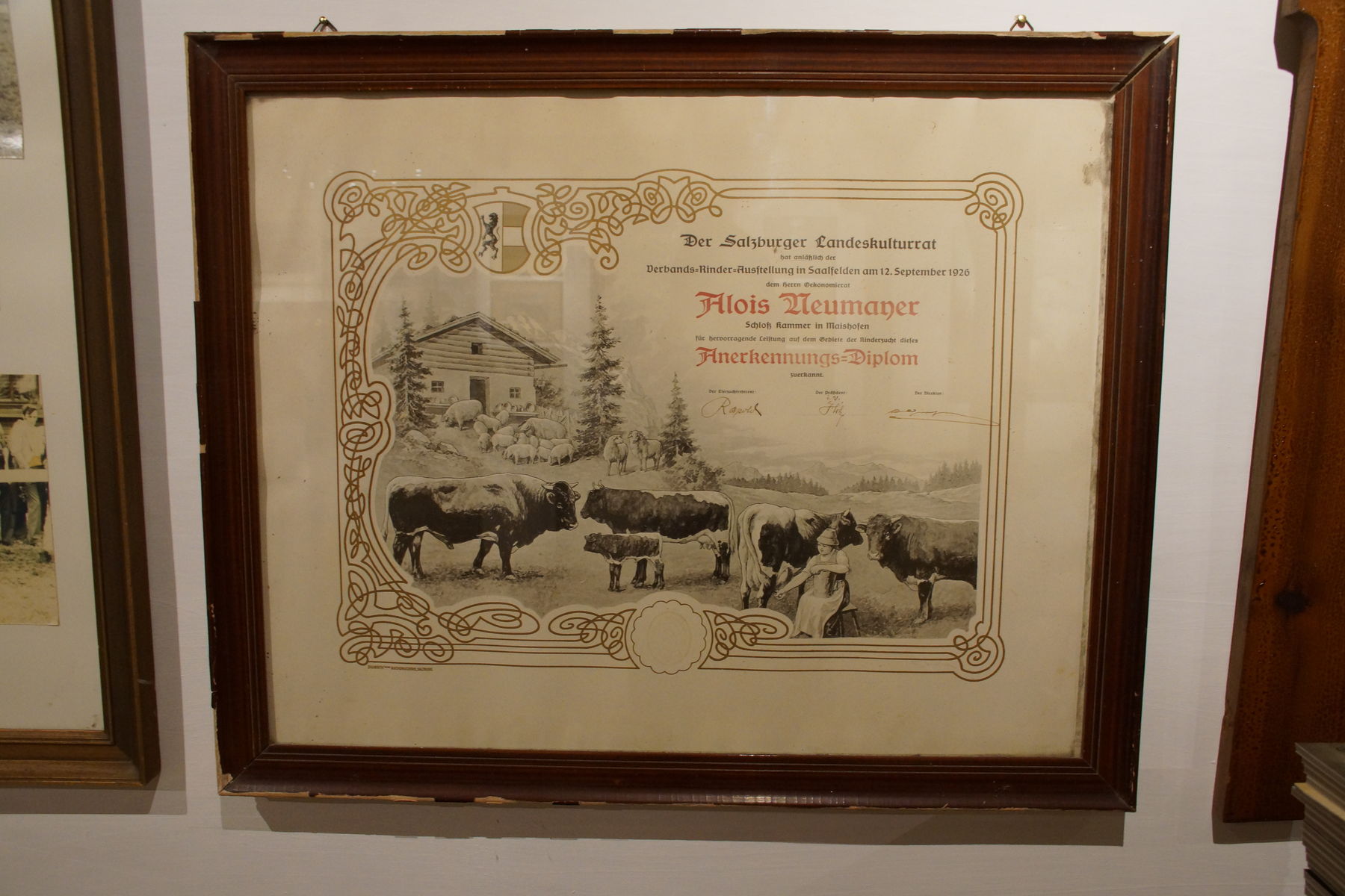 Sonderausstellung Pinzgauer Rind.jpg © Gudrun Dürnberger Sonderausstellung Pinzgauer Rind.jpg © Gudrun Dürnberger
