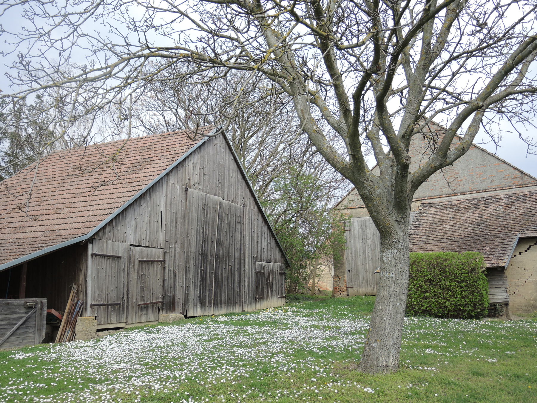 © Andrea Uhl LK NÖ © Andrea Uhl LK NÖ