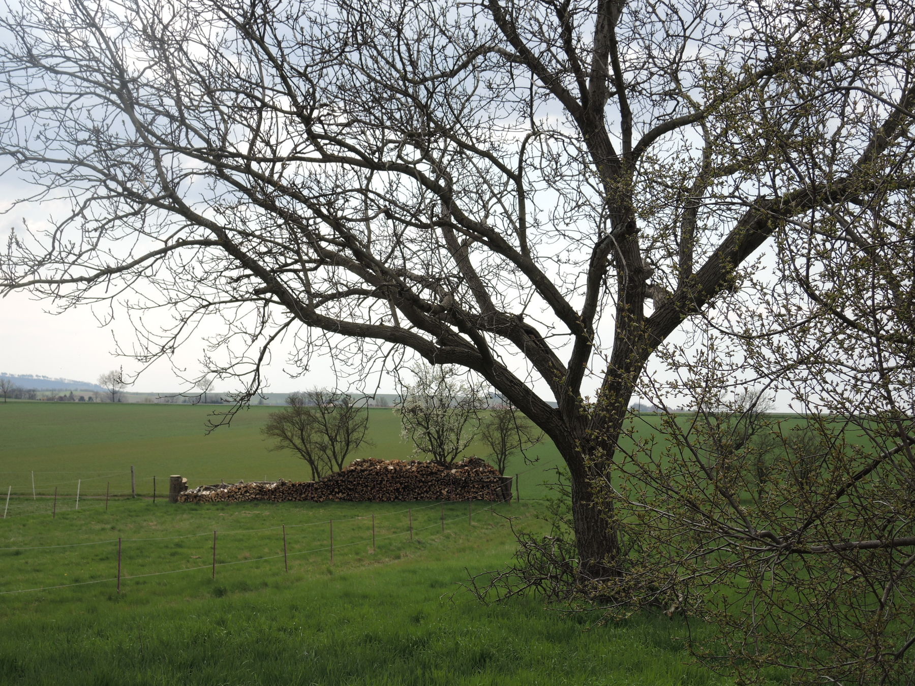 © Andrea Uhl LK NÖ © Andrea Uhl LK NÖ