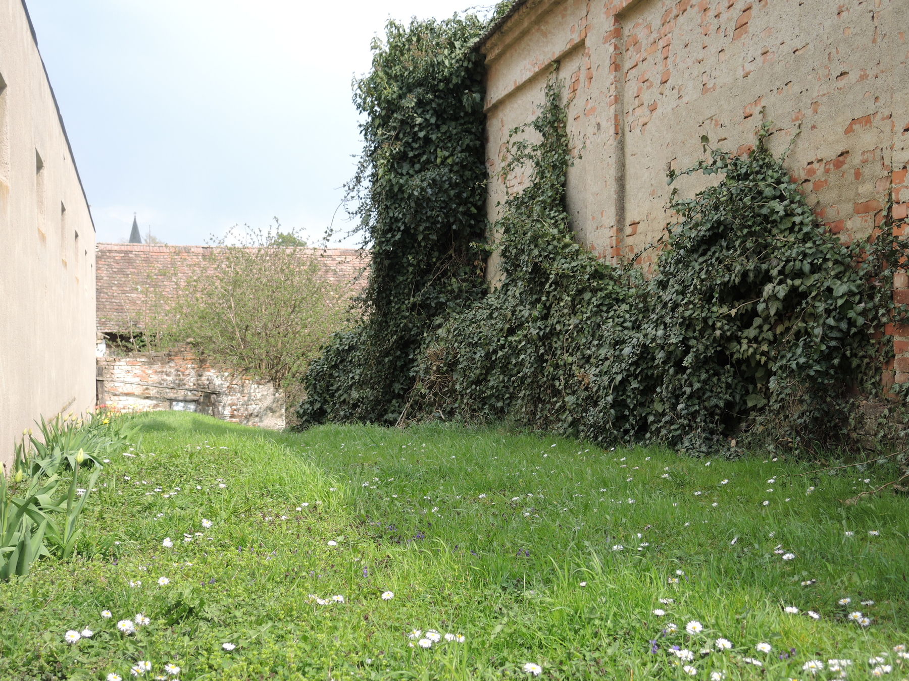 © Andrea Uhl LK NÖ © Andrea Uhl LK NÖ