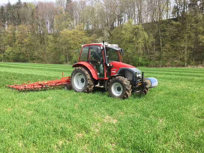 Striegeln eines Weizenbestandes.jpg © Landwirtschaftskammer Oberösterreich/Doblmair