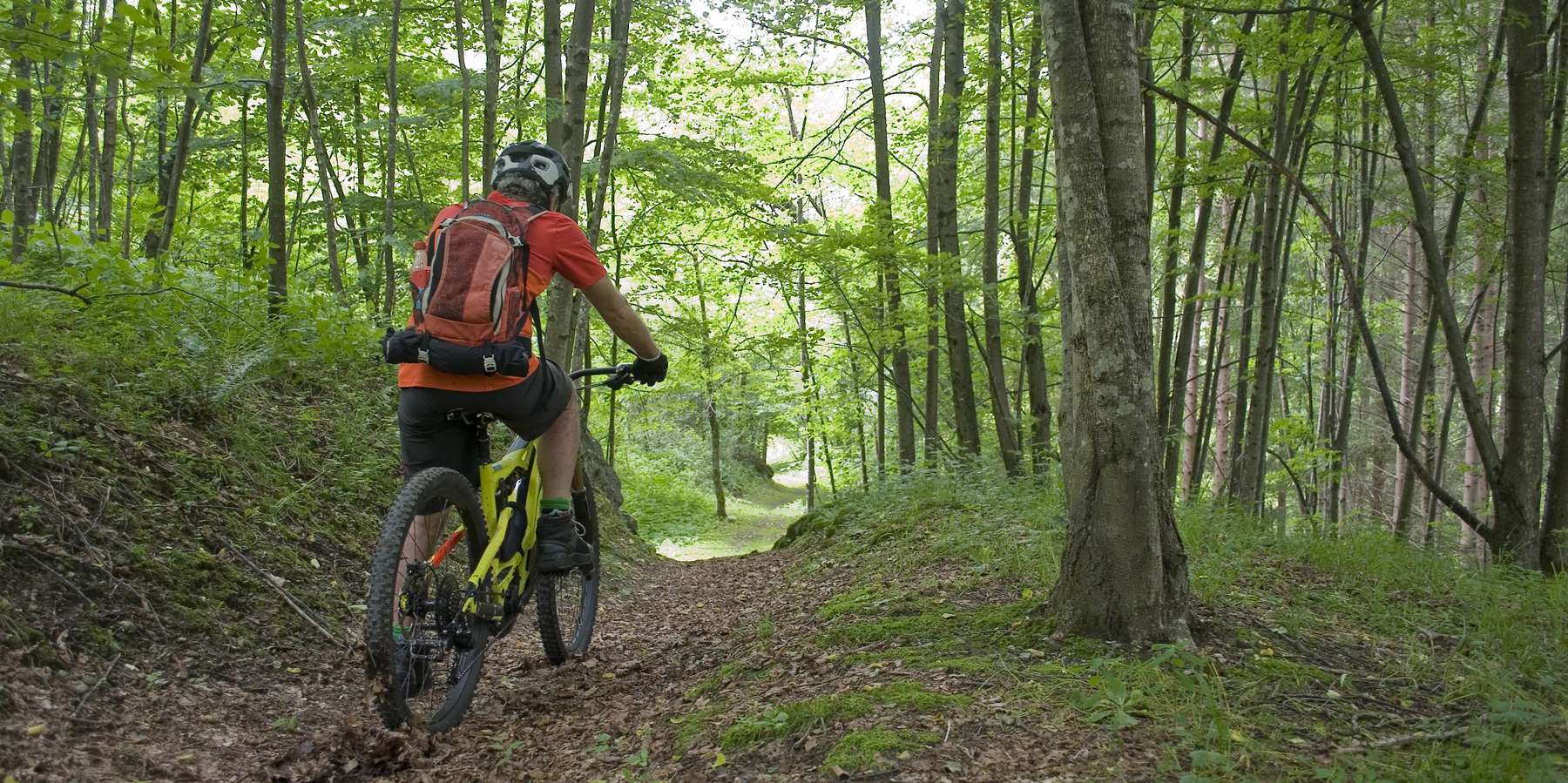1_Schnitt Radfahrer hoch einspaltig.jpg © Adobe Stock 1_Schnitt Radfahrer hoch einspaltig.jpg © Adobe Stock