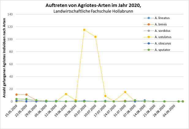 Auftreten von Agriotes-Arten im Jahr 2020.jpg