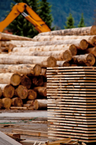 Holztechniker-(proHolz).png © proHolz Holztechniker-(proHolz).png © proHolz