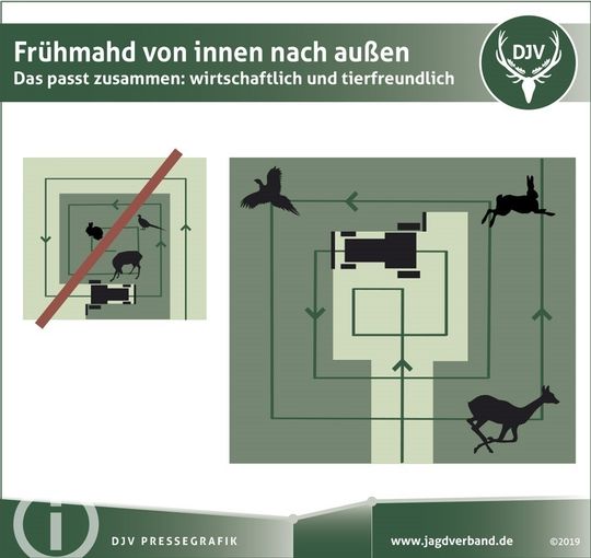 (C) DJV 2019-04_Pressegrafik_Fruehmahd_von_innen_nach_aussen.jpg © DJV (C) DJV 2019-04_Pressegrafik_Fruehmahd_von_innen_nach_aussen.jpg © DJV