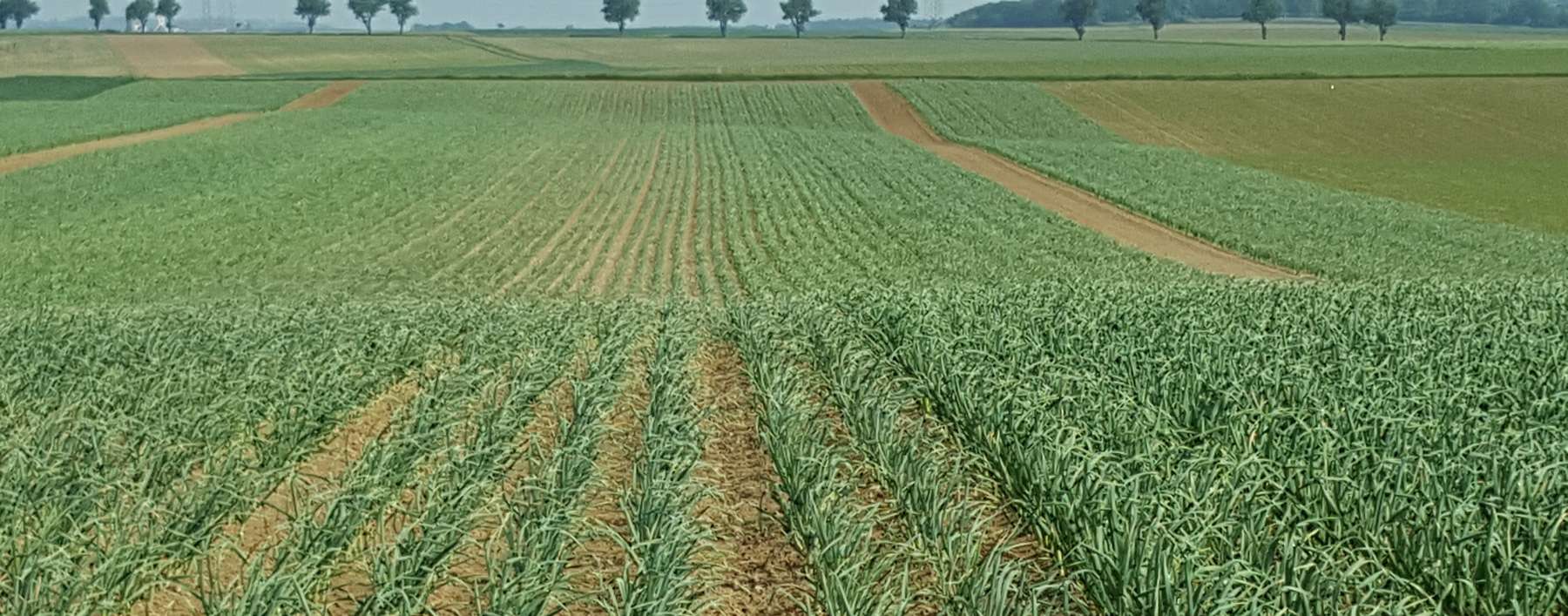 20150519_094241.jpg © Archiv 20150519_094241.jpg © Archiv