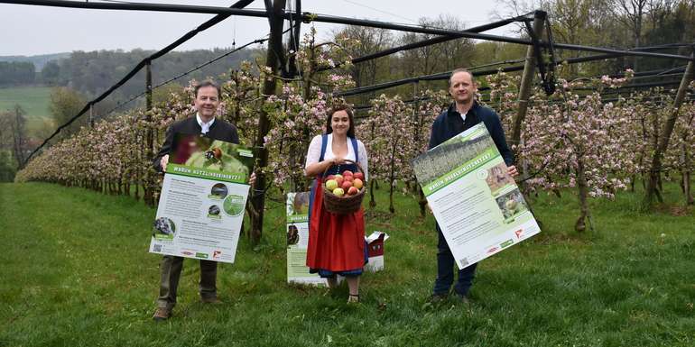 Informations- und Imagekampagne-Obstbauverband-Obstbau-Nikles-Kukmirn.jpg © Kaiser/LK Burgenland Informations- und Imagekampagne-Obstbauverband-Obstbau-Nikles-Kukmirn.jpg © Kaiser/LK Burgenland