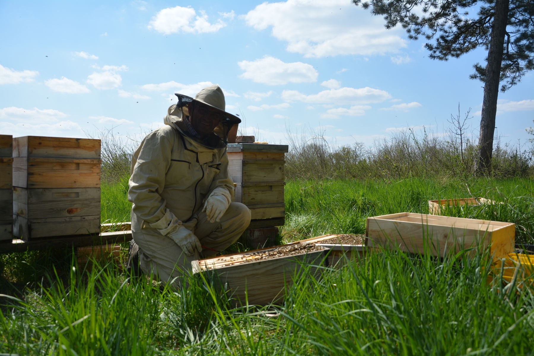 © Andrea Uhl LK NÖ © Andrea Uhl LK NÖ