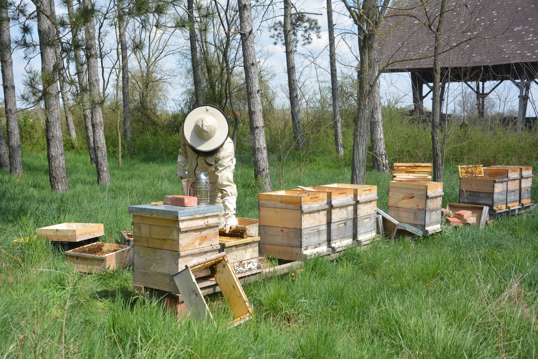 © Andrea Uhl LK NÖ © Andrea Uhl LK NÖ