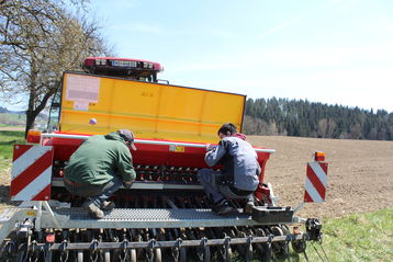 Anbau Impf- und Sortenversuch von Blauer und Weißer Süßlupine im Biokompetenzzentrum in Schlägl.