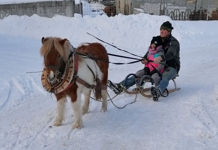 Mein BIld 2021.jpg © Salzburger Bauer/Rieder