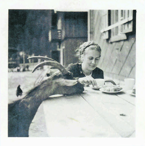 Mein BIld 2021.jpg © Salzburger Bauer/Hirschbichler Mein BIld 2021.jpg © Salzburger Bauer/Hirschbichler