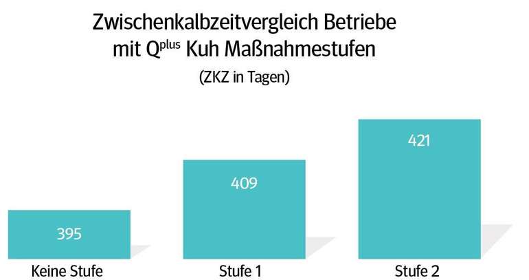 Zwischenkalbzeitvergleich