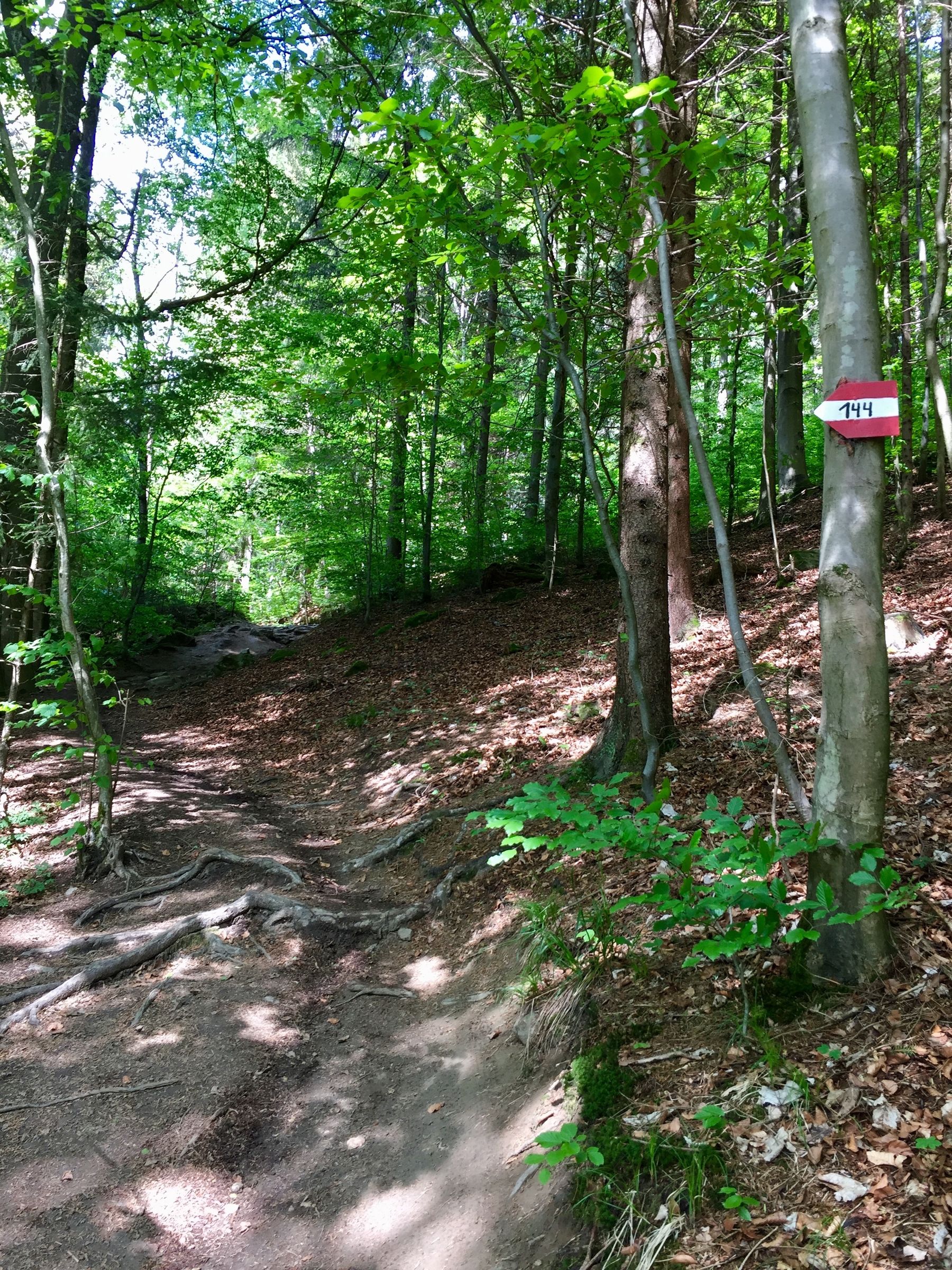 Wegmarkierung Wald.jpg © Gutmann / Landwirtschaftskammer OÖ Wegmarkierung Wald.jpg © Gutmann / Landwirtschaftskammer OÖ