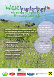 Flyer Wiese kunterbunt.jpg © LK