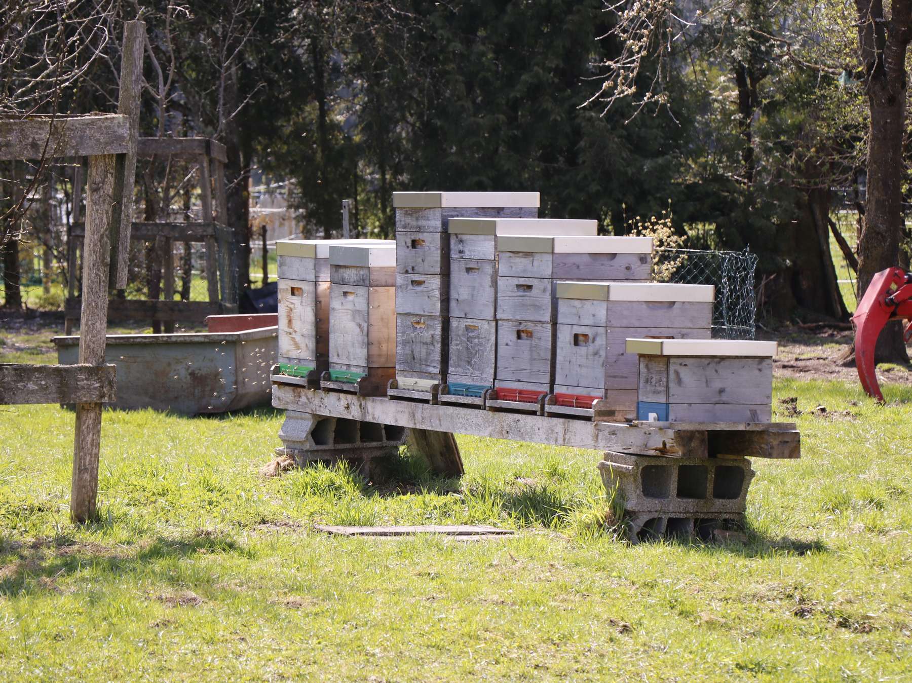 Am besten Weg zum Arche-Hof – Nazibauer in Seekirchen.jpg © Kronreif Am besten Weg zum Arche-Hof – Nazibauer in Seekirchen.jpg © Kronreif