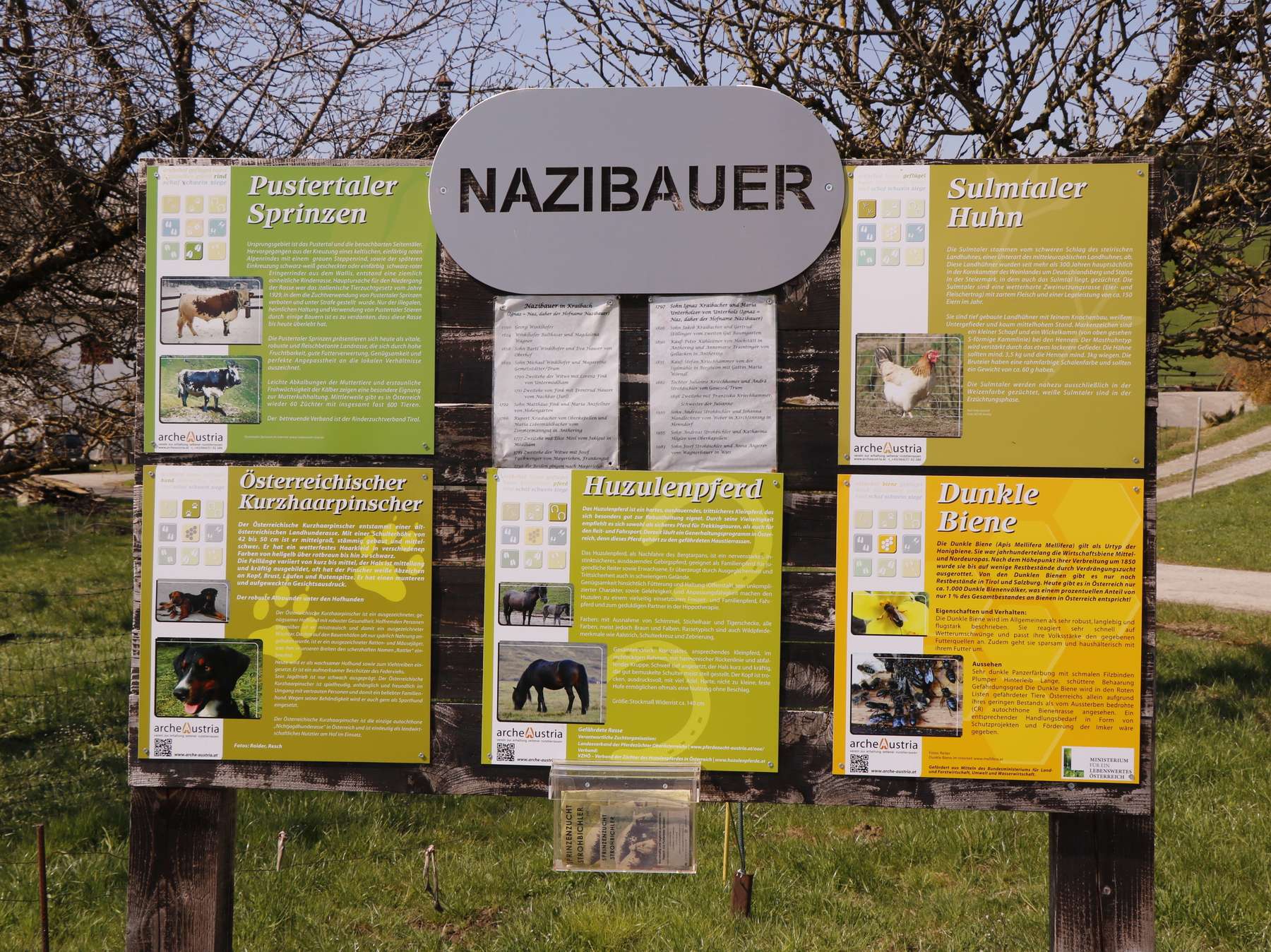 Am besten Weg zum Arche-Hof – Nazibauer in Seekirchen.jpg © Kronreif Am besten Weg zum Arche-Hof – Nazibauer in Seekirchen.jpg © Kronreif