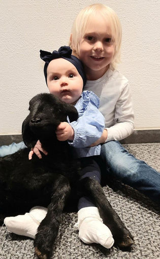 Mein Bild 2021.jpg © Salzburger Bauer/Samerhof Mein Bild 2021.jpg © Salzburger Bauer/Samerhof