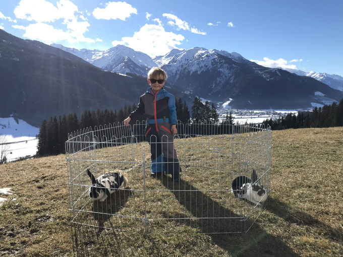 Mein Bild 2021.jpg © Salzburger Bauer/Empl Mein Bild 2021.jpg © Salzburger Bauer/Empl