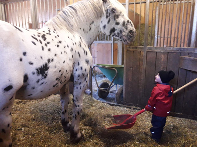 Mein Bild 2021.jpg © Salzburger Bauer/Mayer Mein Bild 2021.jpg © Salzburger Bauer/Mayer