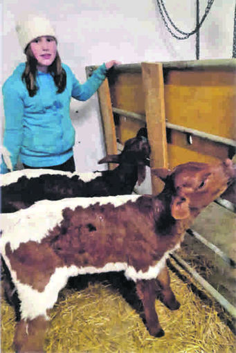 Mein Bild 2021.jpg © Salzburger Bauer/Hinterweißstein Mein Bild 2021.jpg © Salzburger Bauer/Hinterweißstein