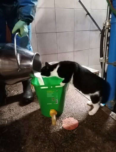 Mein Bild 2021.jpg © Salzburger Bauer/Seethaler Mein Bild 2021.jpg © Salzburger Bauer/Seethaler