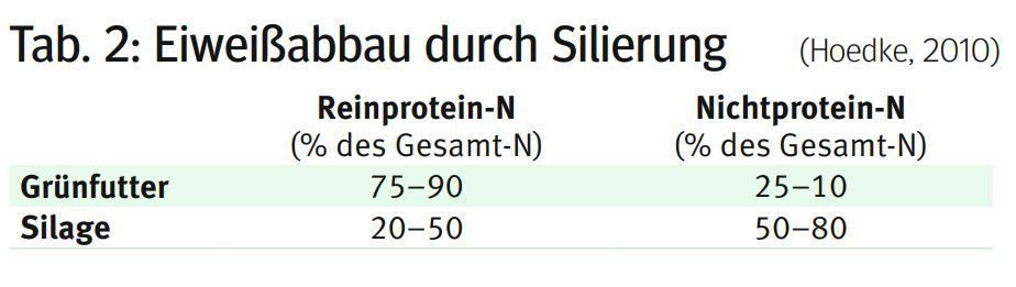 Silage Tabelle2.jpg