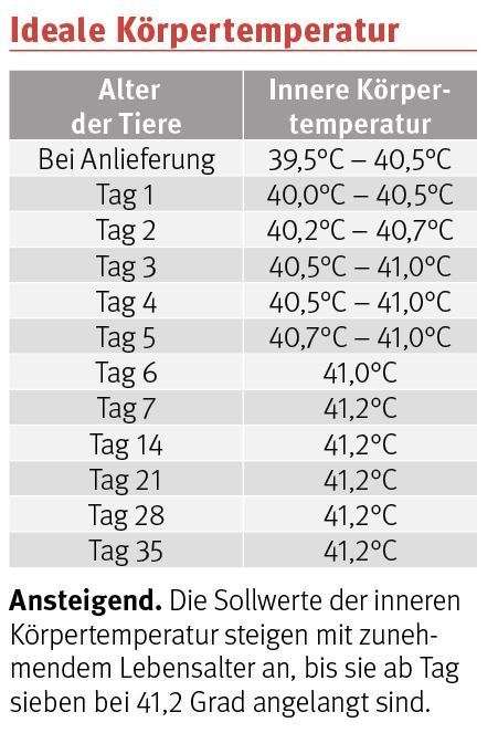 Tabelle: Ideale Körpertemperatur