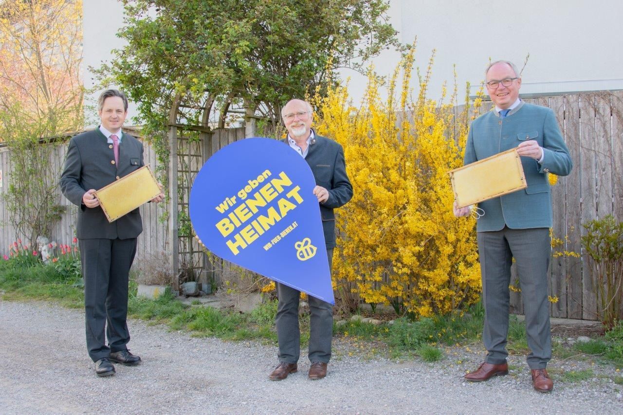 Foto_Pilotprojekt Bienengesundheit.jpg © Eva Lechner/LK Niederösterreich Foto_Pilotprojekt Bienengesundheit.jpg © Eva Lechner/LK Niederösterreich