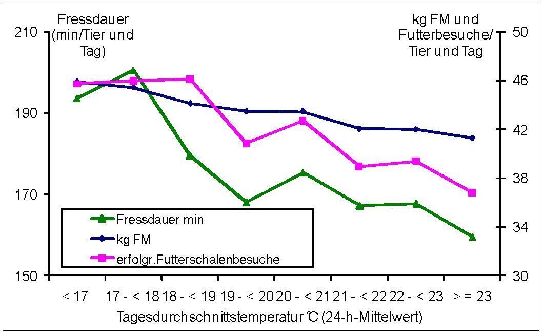 Fressdauer, Futterschalenbesuche und Futteraufnahme in Abhängigkeit von der Temperatur.jpg © Quelle: Prof. Dr. Kathrin Mahlkow-Nerge, FH Kiel)