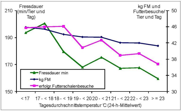 Fressdauer, Futterschalenbesuche und Futteraufnahme in Abhängigkeit von der Temperatur.jpg © Quelle: Prof. Dr. Kathrin Mahlkow-Nerge, FH Kiel)