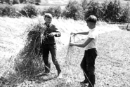 Kinderarbeit.png © Archiv/Standl Kinderarbeit.png © Archiv/Standl