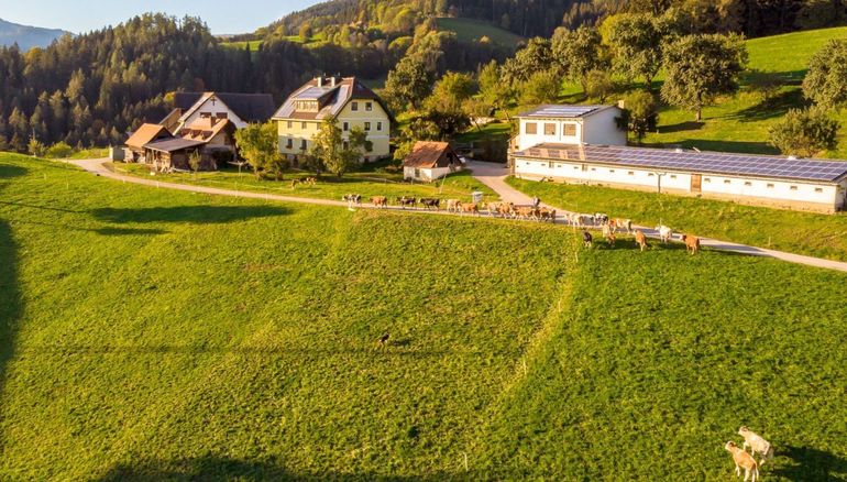 Flächen.jpg © Staubmann Flächen.jpg © Staubmann