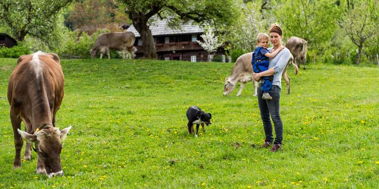 Pötscher Kurzrasenweide Glanz.jpg © Pötscher Pötscher Kurzrasenweide Glanz.jpg © Pötscher