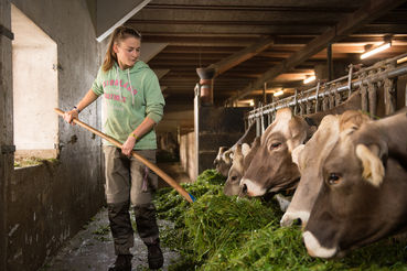 77 landwirtschaft BFLA 2018.jpg